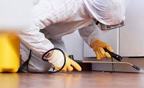 Best Real Estate Pest Inspections  in Baxter Springs, KS